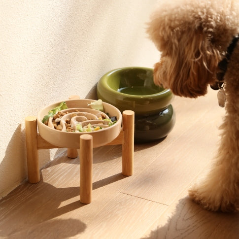 5 Signs Your Dog is Eating Too Fast (And How to Fix It)