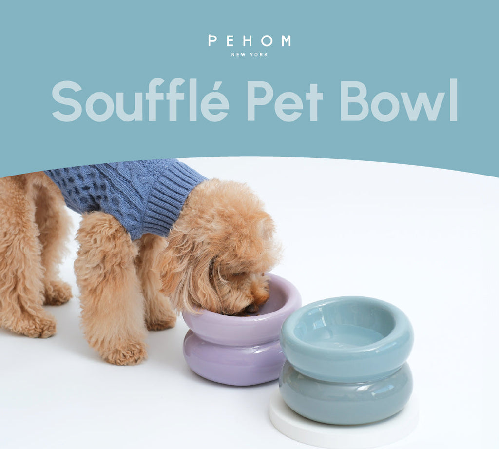 Frozen Blue Dog Bowl - Soufflé Pet Bowl | Non-Slip & Dishwasher Safe