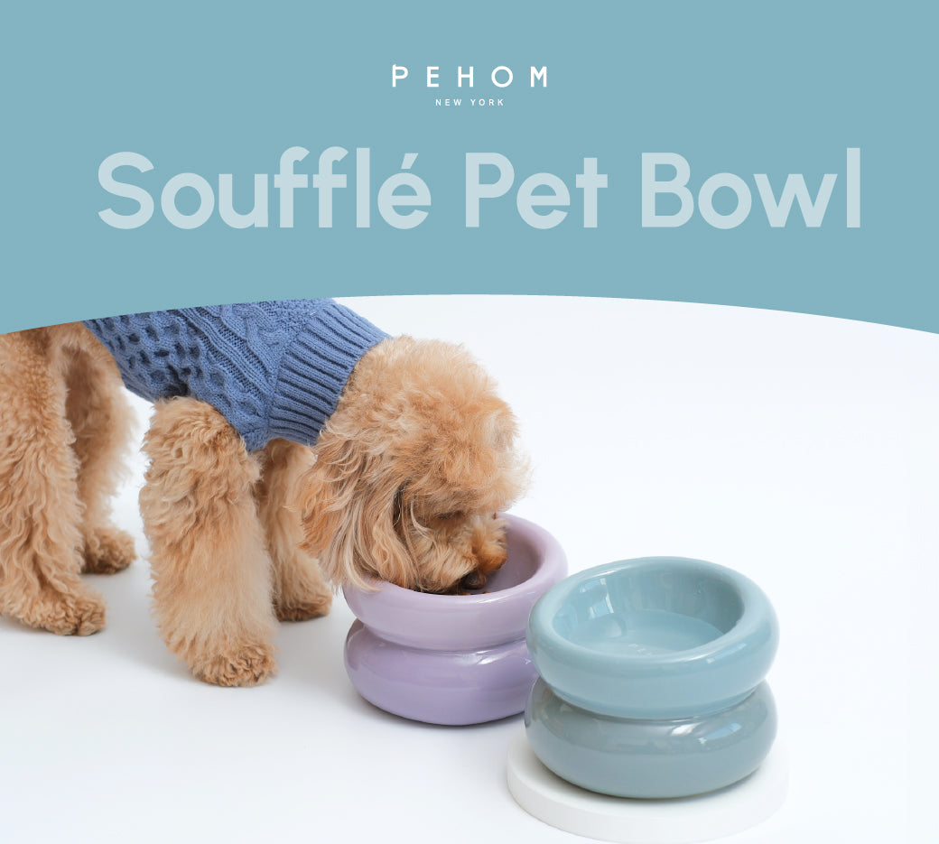 Frozen Blue Dog Bowl - Soufflé Pet Bowl | Non-Slip & Dishwasher Safe