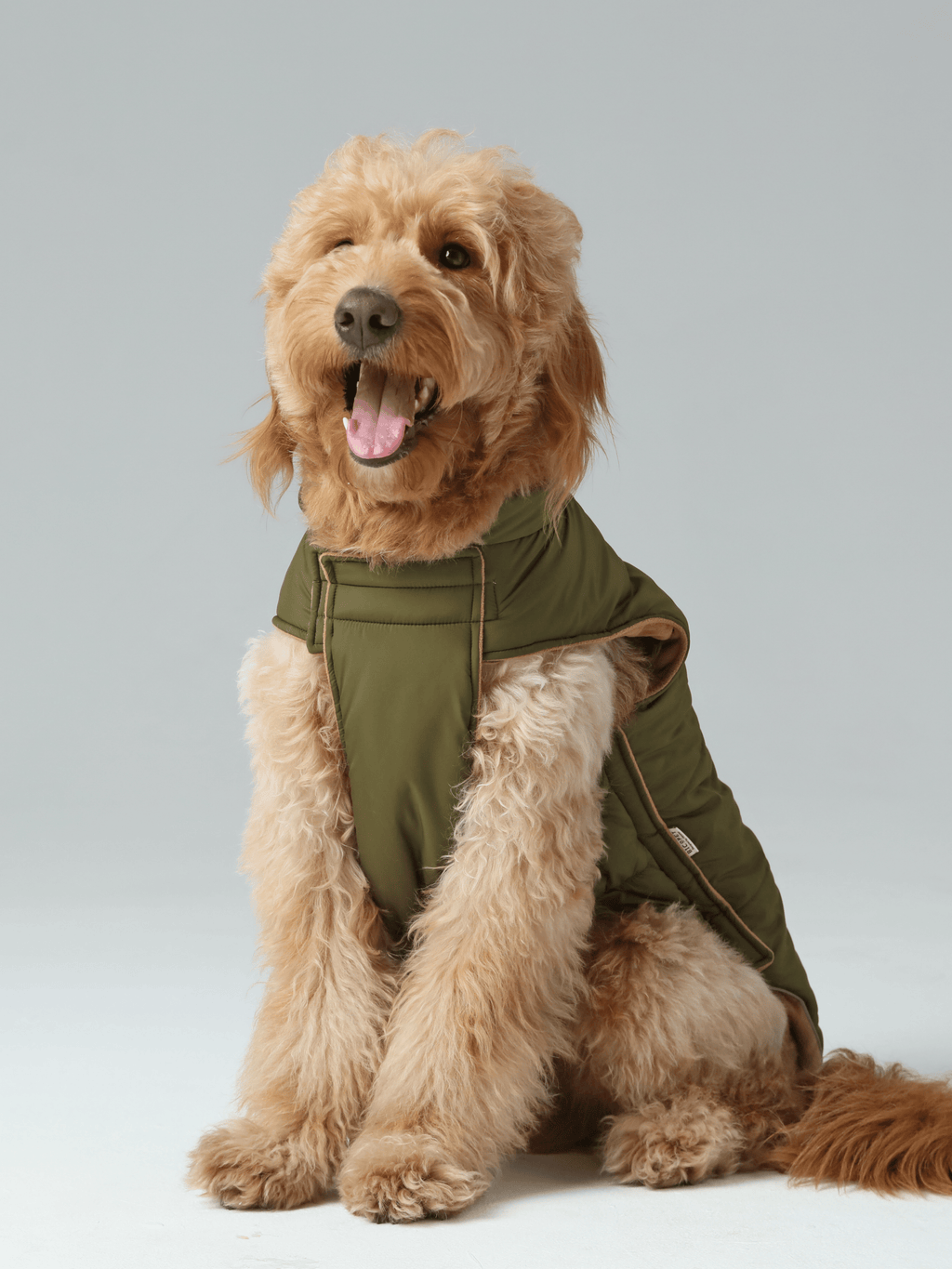 Reversible Dog Vest Jacket - Green/ Brown