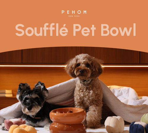 Amber Orange Dog Bowl - Soufflé Pet Bowl | Non-Slip & Dishwasher Safe