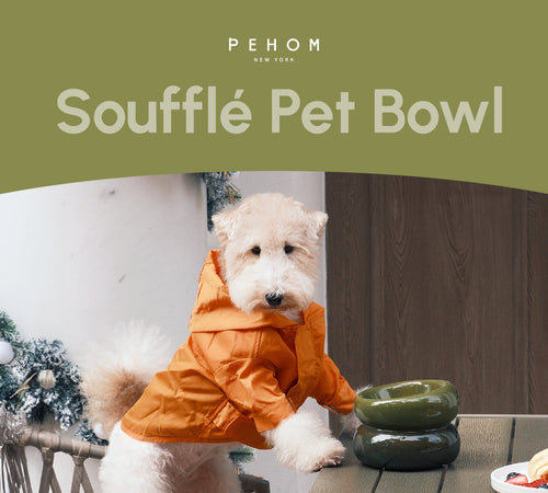 Avocado Green Dog Bowl - Soufflé Pet Bowl | Non-Slip & Dishwasher Safe