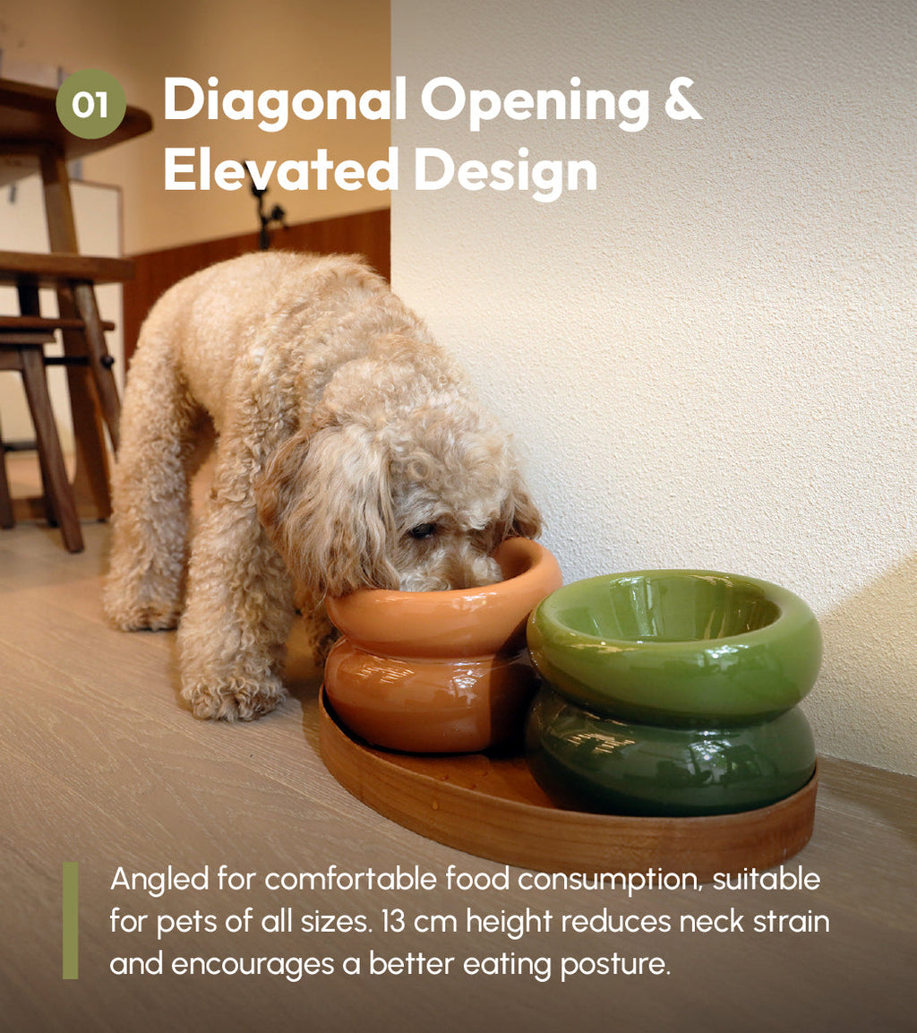 Avocado Green Dog Bowl - Soufflé Pet Bowl | Non-Slip & Dishwasher Safe