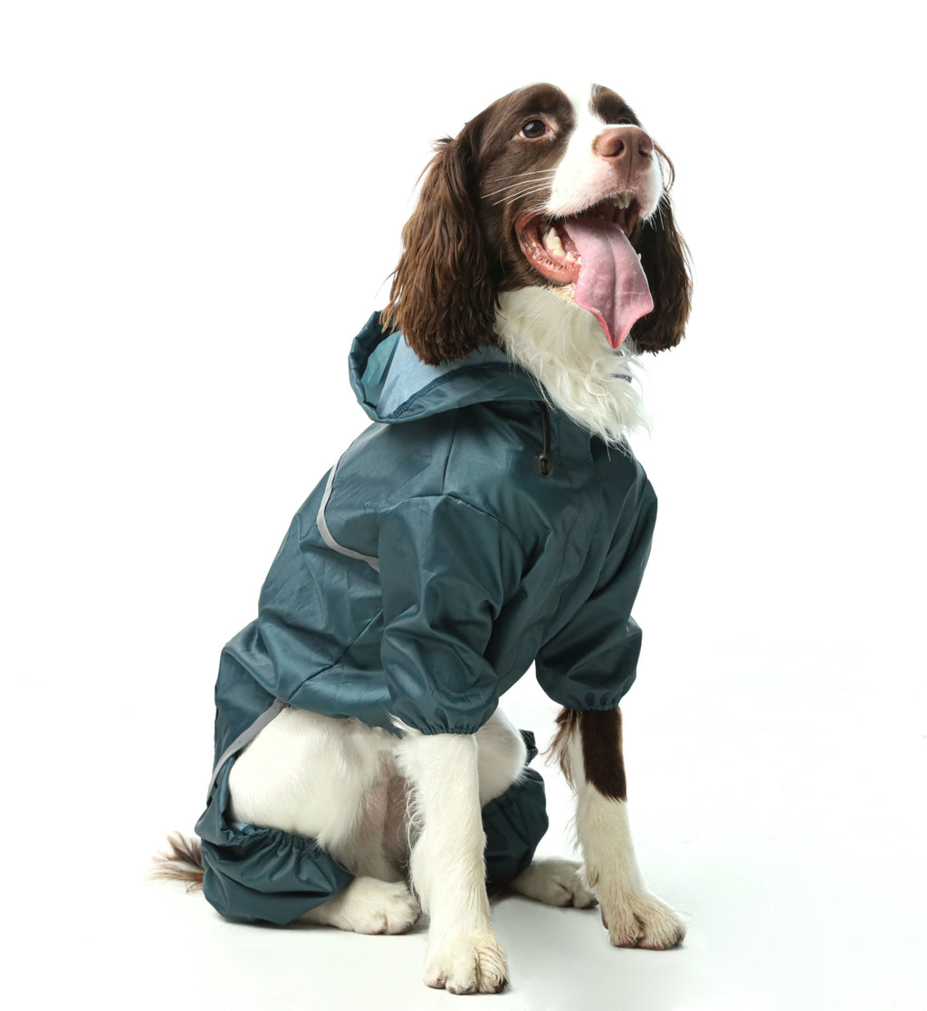 Ultralight Hooded Waterproof Dog Jacket - Blue
