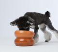 Amber Orange Dog Bowl - Soufflé Pet Bowl | Non-Slip & Dishwasher Safe