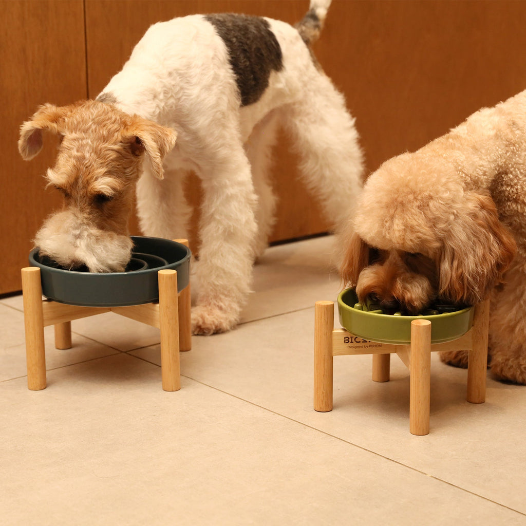Spark Slow Feeder Dog Bowl - Non-Slip & Dishwasher Safe | Paw Paradise
