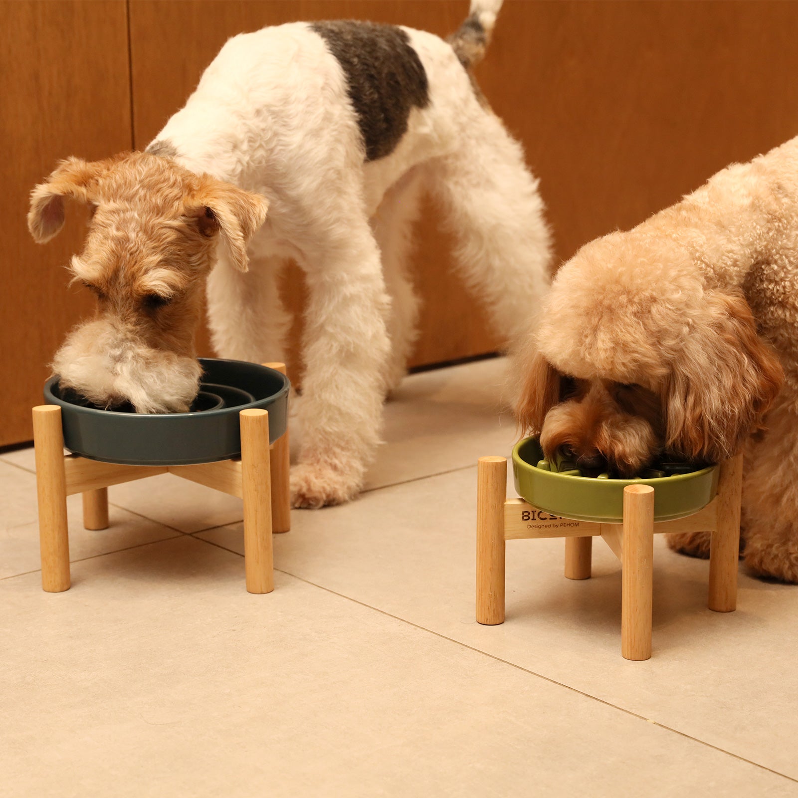 Spark Slow Feeder Dog Bowl - Non-Slip & Dishwasher Safe | Paw Paradise