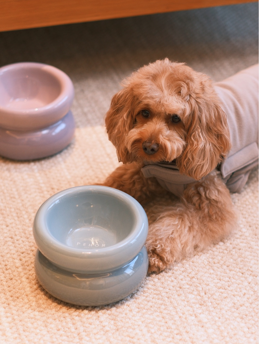 Frozen Blue Dog Bowl - Soufflé Pet Bowl | Non-Slip & Dishwasher Safe