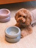 Frozen Blue Dog Bowl - Soufflé Pet Bowl | Non-Slip & Dishwasher Safe