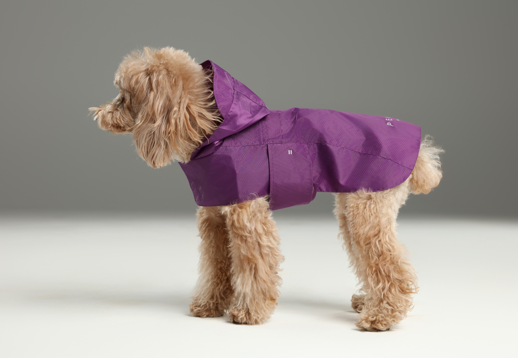 Capsule Raincoat/With Hood - Purple