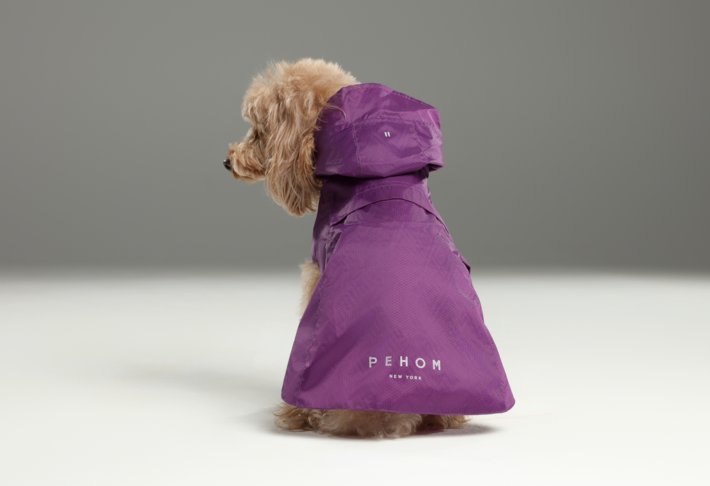 Capsule Raincoat/With Hood - Purple