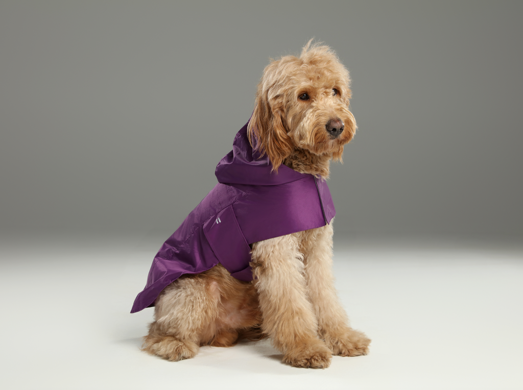 Capsule Raincoat/With Hood - Purple