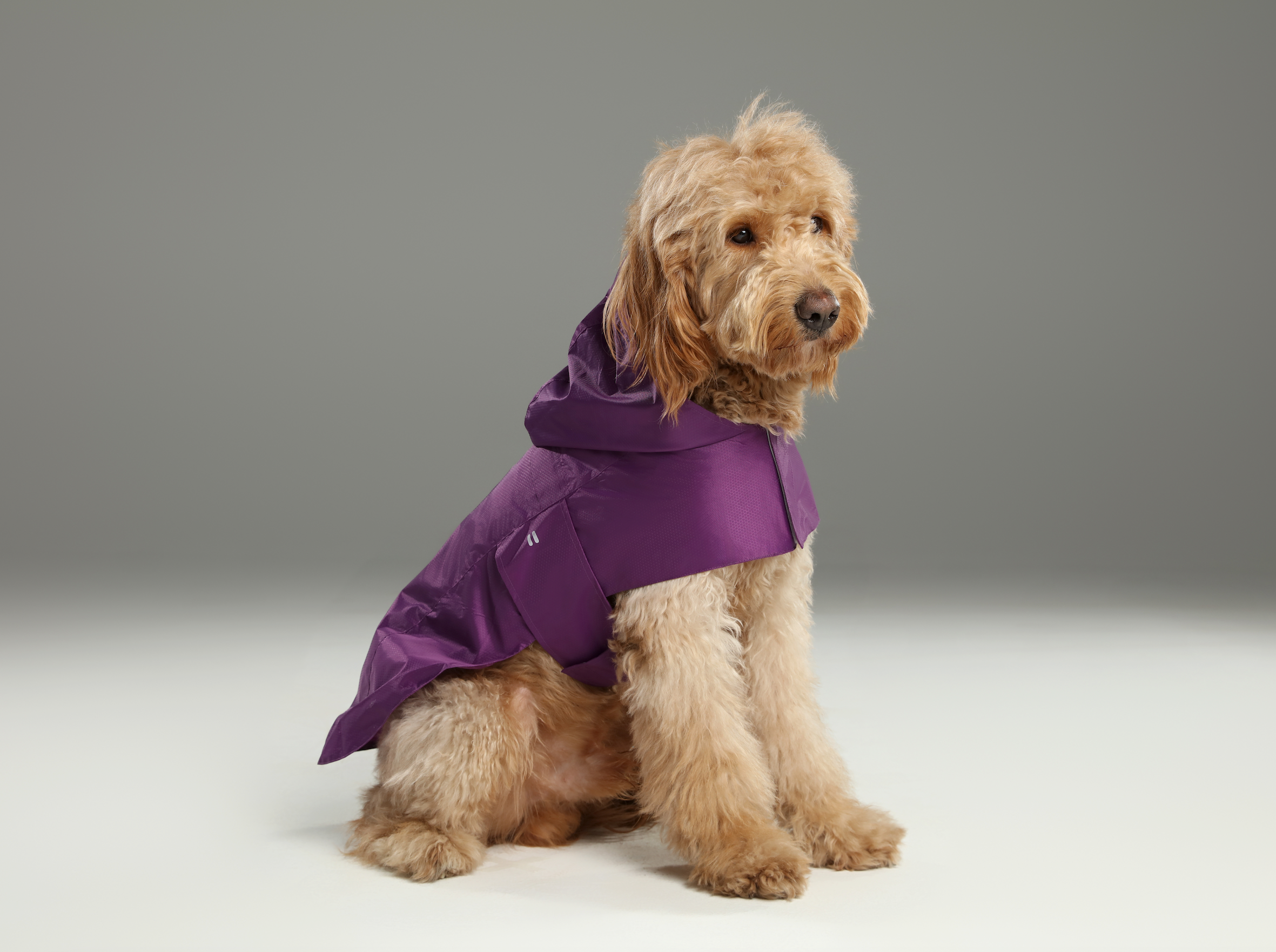 Capsule Raincoat/With Hood - Purple