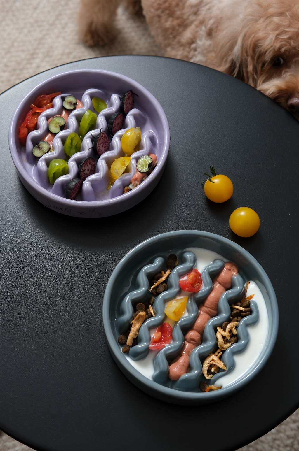 Macaroni Slow Feeder Dog Bowl - Non-Slip & Dishwasher Safe | Paw Paradise
