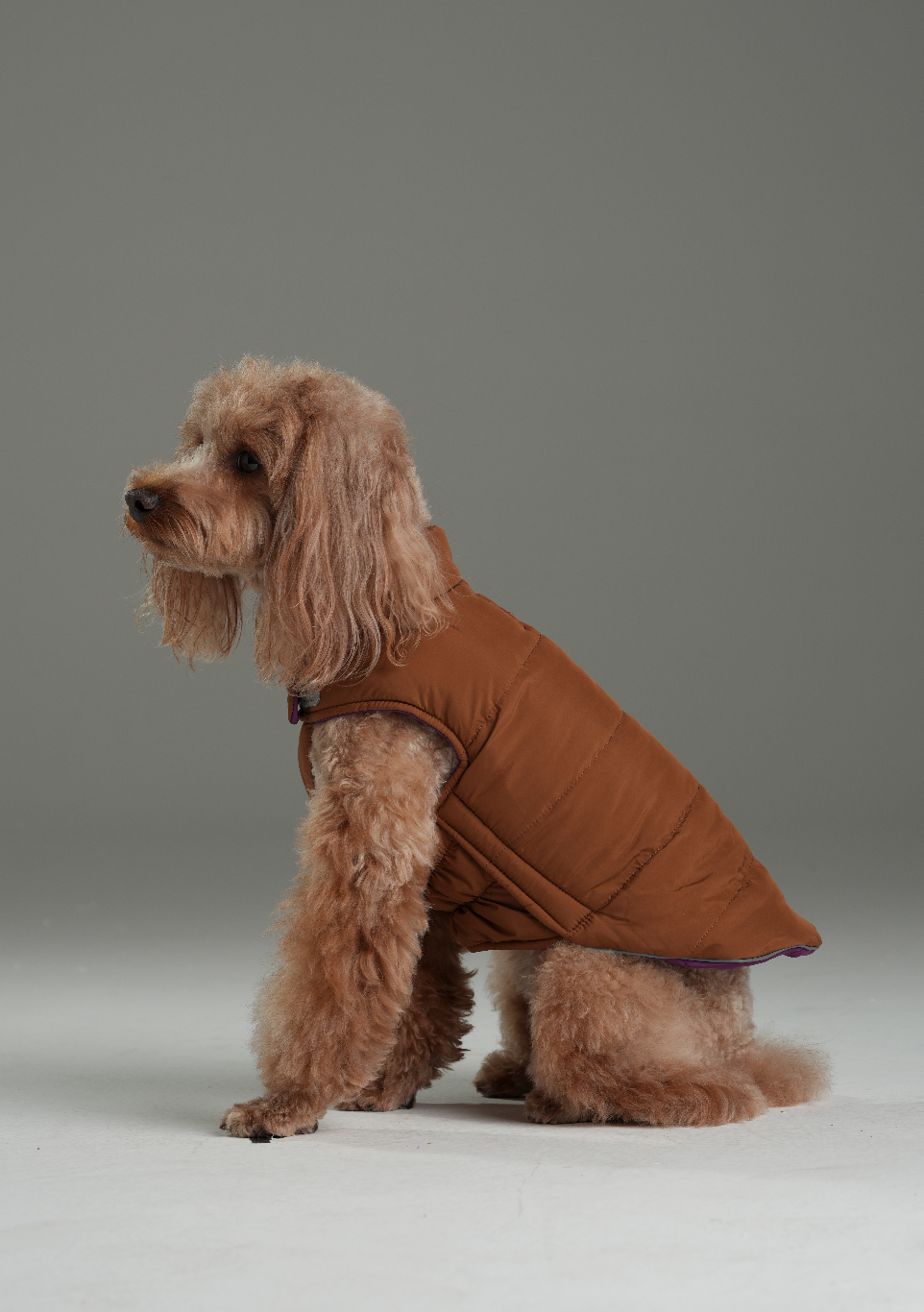 Reversible Dog Vest Jacket - Purple/ Caramel