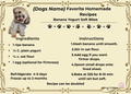 Senior Dog Homemade Recipe Cards — 5 Healthy Meals & Treats for Aging Dogs, Printable Digital Download
