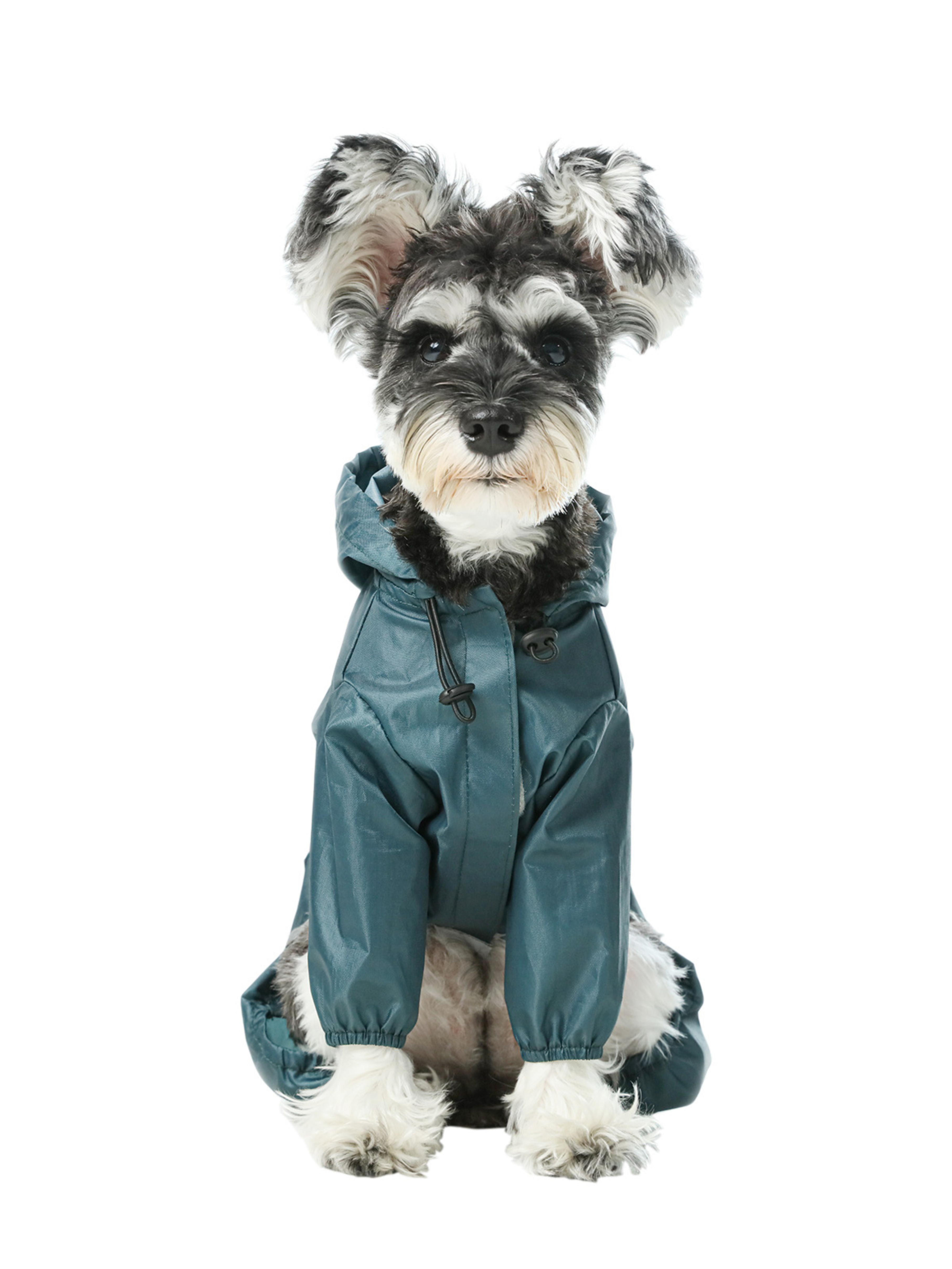 Ultralight Hooded Waterproof Dog Jacket - Blue