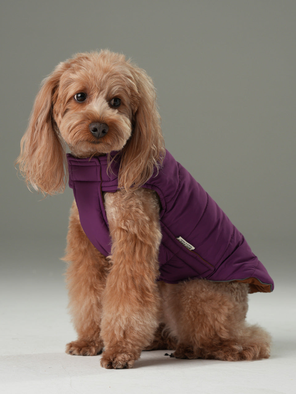 Reversible Dog Vest Jacket - Purple/ Caramel