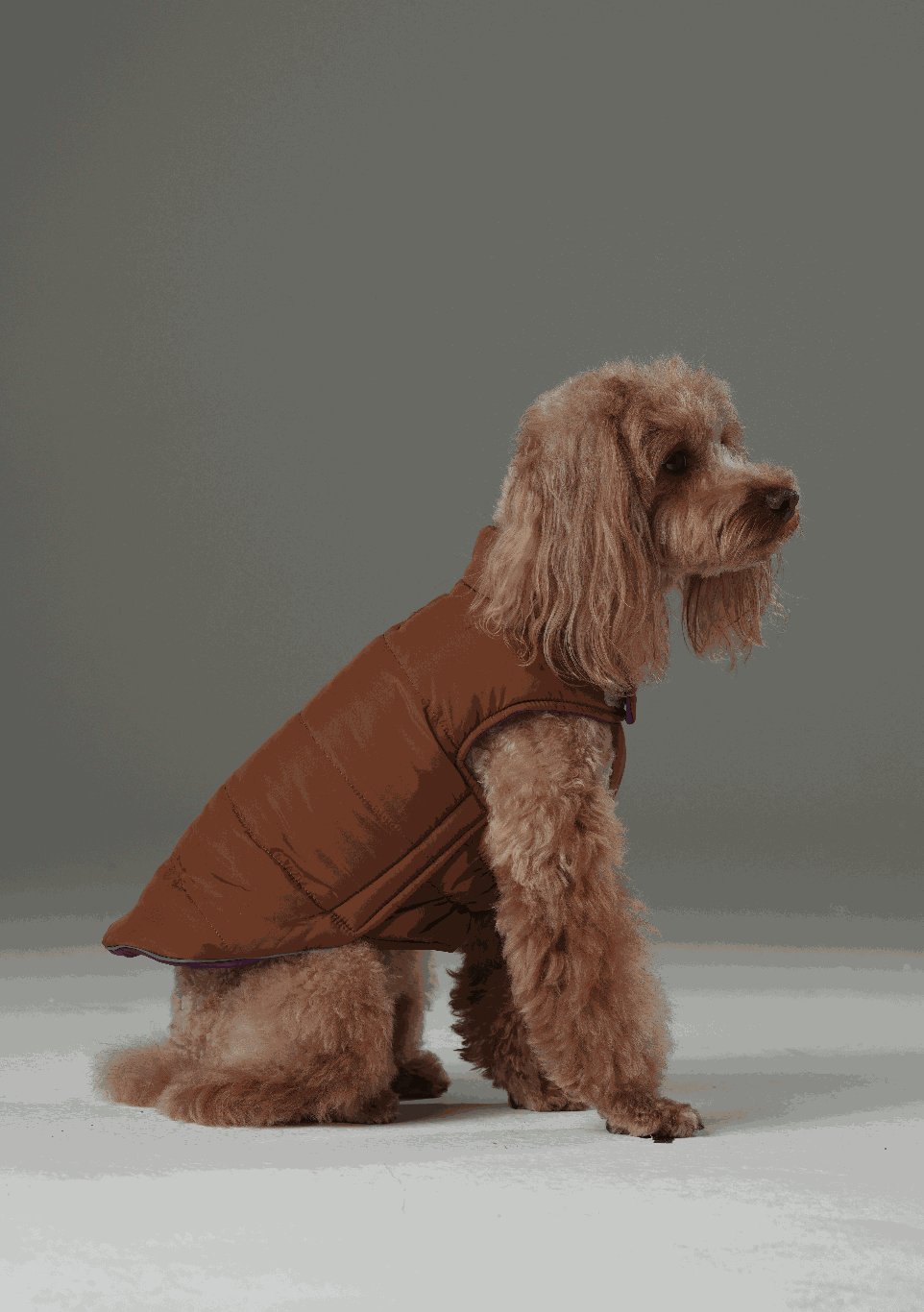 Reversible Dog Vest Jacket - Purple/ Caramel