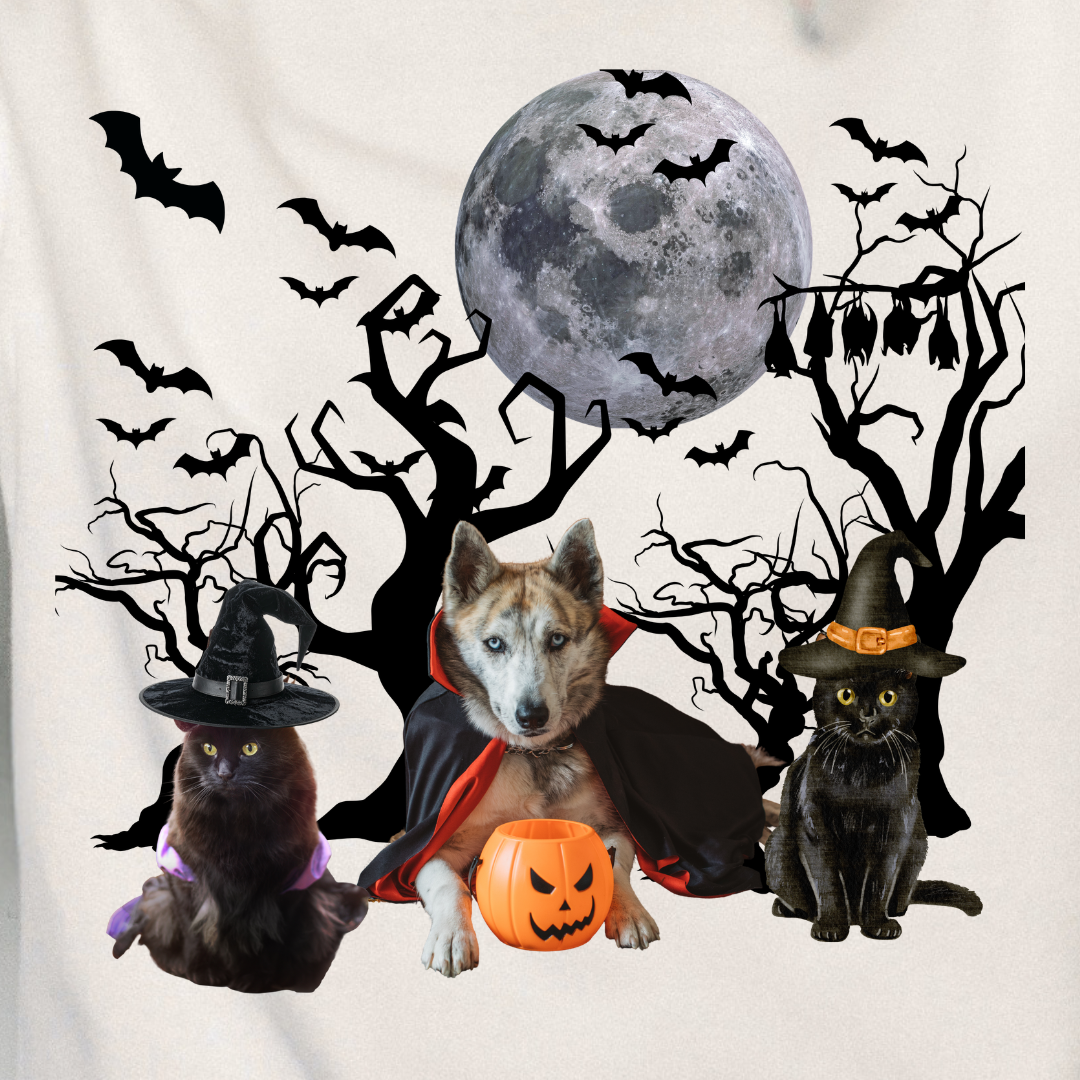 Halloween Pet Trio Unisex Sweatshirt | Cats, Dog & Bats| Paws & Whiskers