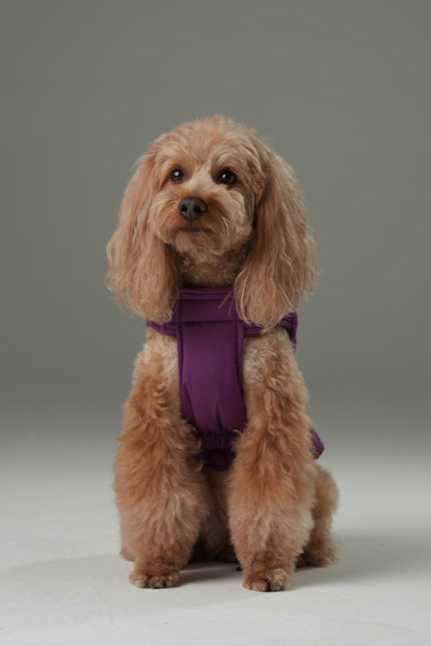 Reversible Dog Vest Jacket - Purple/ Caramel