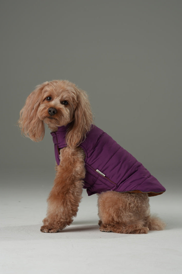 Reversible Dog Vest Jacket - Purple/ Caramel