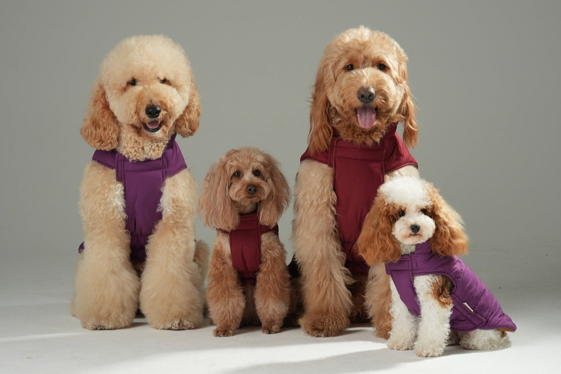 Reversible Dog Vest Jacket - Purple/ Caramel
