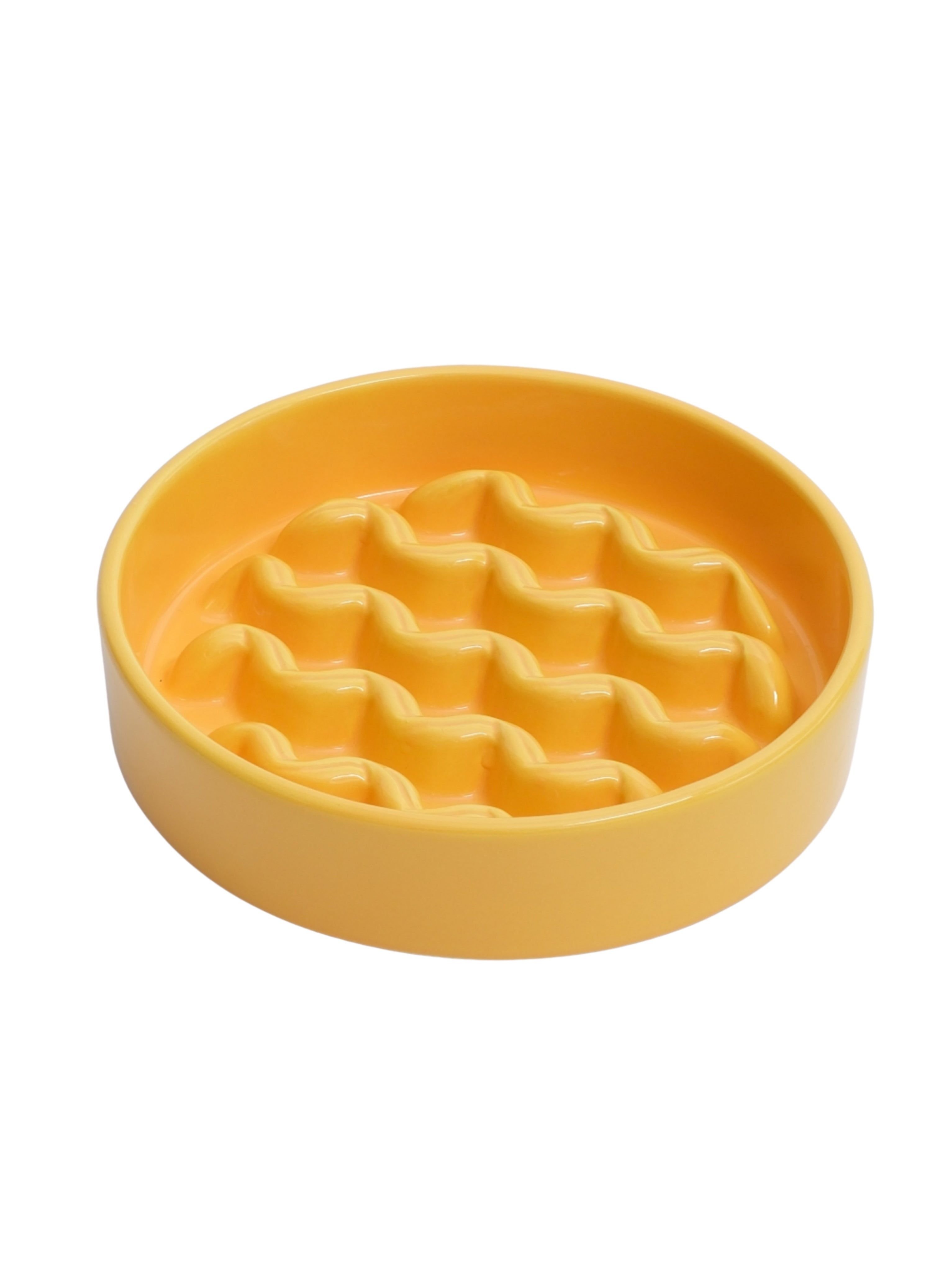 Macaroni Slow Feeder Dog Bowl - Non-Slip & Dishwasher Safe | Paw Paradise
