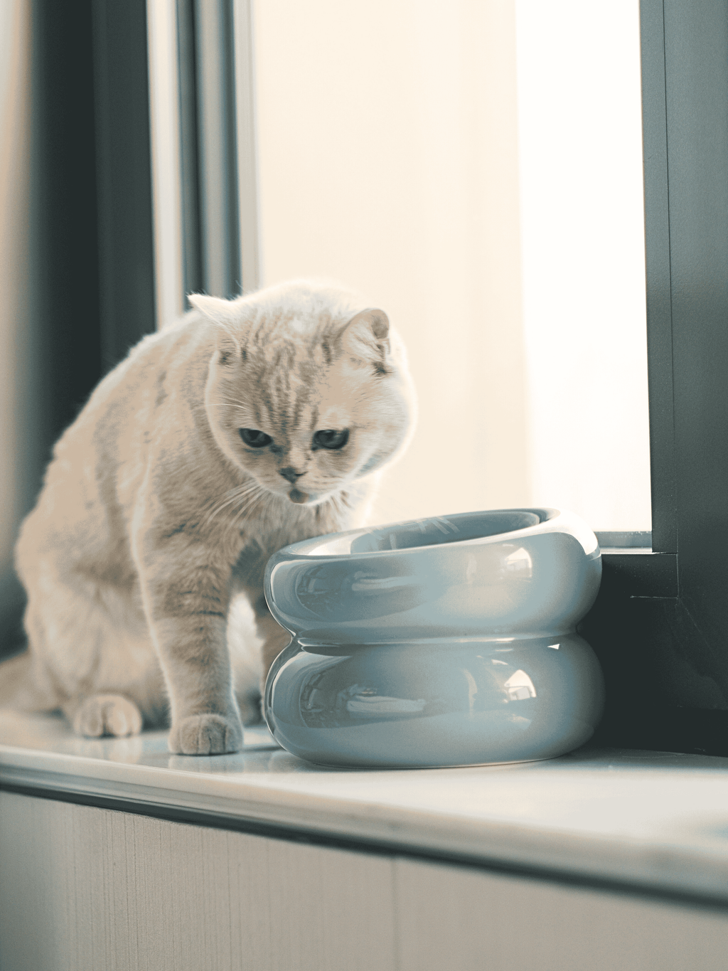 Frozen Blue Dog Bowl - Soufflé Pet Bowl | Non-Slip & Dishwasher Safe