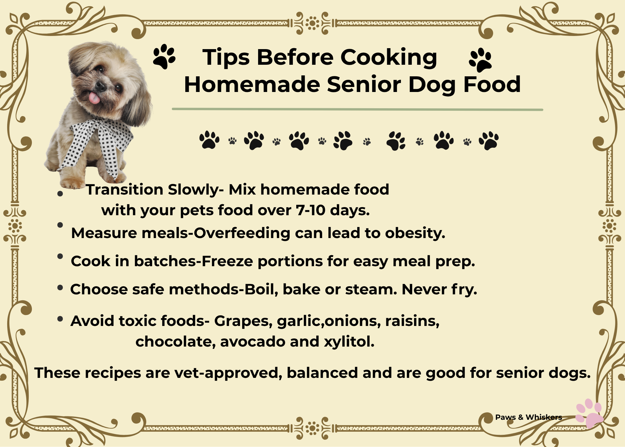 Senior Dog Homemade Recipe Cards — 5 Healthy Meals & Treats for Aging Dogs, Printable Digital Download